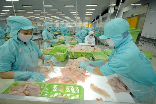 Trung Quốc là thị trường tiềm năng cho xuất khẩu thủy sản của VN. Ảnh: CÔNG HÂN