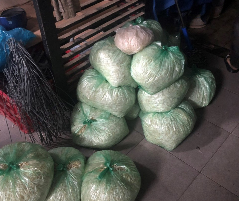 Giá đỗ thành phẩm ủ hóa chất độc hại được các chủ cơ sở đóng gói chuẩn bị chở đi phân phối tại các chợ.