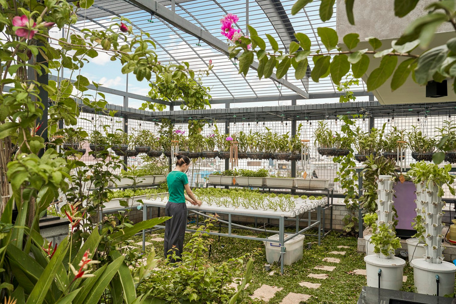 Để tạo không gian yên bình hơn, kết nối với thiên nhiên đồng thời giảm bức xạ nhiệt cho mái nhà, kiến trúc sư đã tư vấn cho gia chủ thiết lập một khu vườn nhiệt đới và trồng rau trên sân thượng.