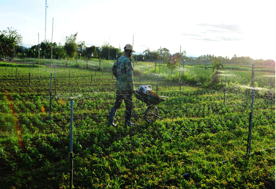Hệ thống tưới nước tự động được đầu tư để giảm sức lao động cho người dân Hệ thống tưới nước tự động được đầu tư để giảm sức lao động cho người dân