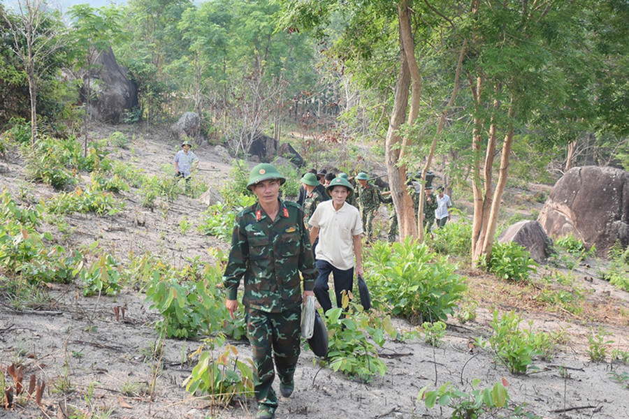 Cán bộ, chiến sĩ Đội Quy tập mộ liệt sĩ (Cục Chính trị, Quân đoàn 3) tìm kiếm hài cốt liệt sĩ trên đỉnh Chư Pao (huyện Chư Păh). Ảnh: Minh Nguyễn Cán bộ, chiến sĩ Đội Quy tập mộ liệt sĩ (Cục Chính trị, Quân đoàn 3) tìm kiếm hài cốt liệt sĩ trên đỉnh Chư Pao (huyện Chư Păh). Ảnh: Minh Nguyễn