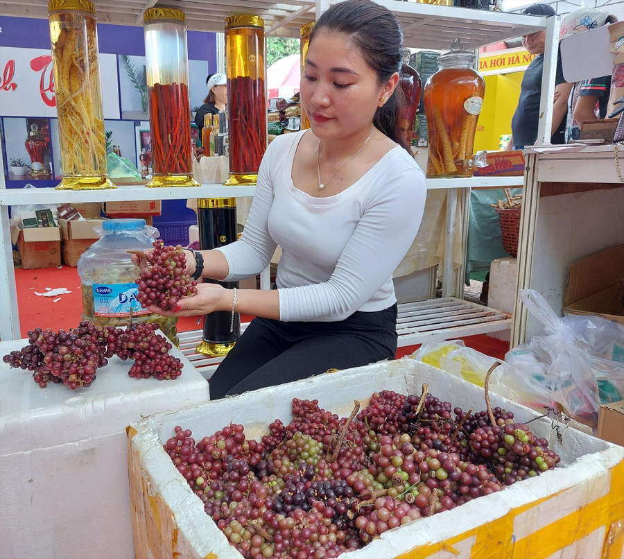 Chị Hà chia sẻ về cách chế biến nho rừng thành thức uống đặc sản. Chị Hà chia sẻ về cách chế biến nho rừng thành thức uống đặc sản.