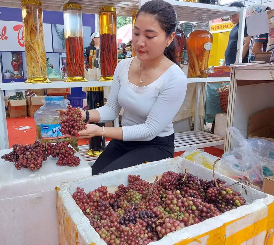 Chị Hà chia sẻ về cách chế biến nho rừng thành thức uống đặc sản.