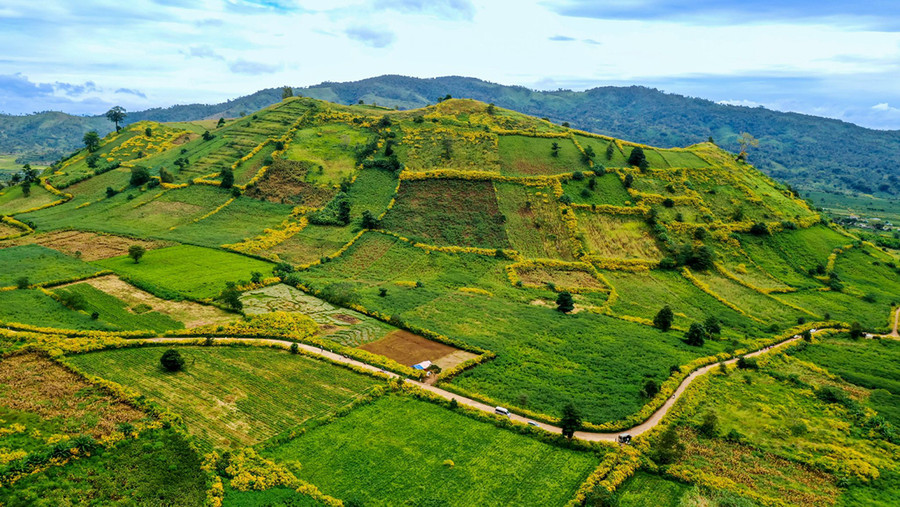 Núi lửa Chư Đang Ya đang chờ đón các VĐV chinh phục. Ảnh: Quốc Việt Núi lửa Chư Đang Ya đang chờ đón các VĐV chinh phục. Ảnh: Quốc Việt