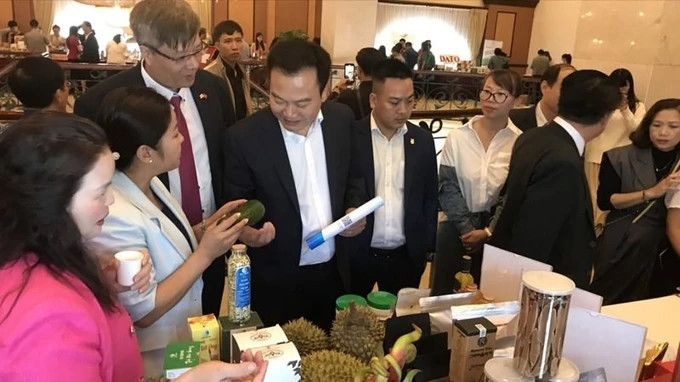 Doanh nghiệp Việt Nam - Hàn Quốc gặp gỡ kết nối giao thương. Nguồn: DANGCONGSAN Doanh nghiệp Việt Nam - Hàn Quốc gặp gỡ kết nối giao thương. Nguồn: DANGCONGSAN