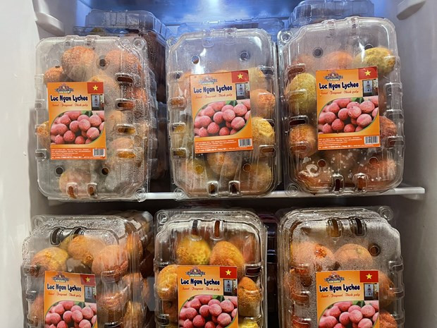 Bắt đầu từ năm nay, TT Meridian sẽ sử dụng bao bì sản phẩm Việt Nam phân phối tại Anh với hình ảnh cờ đỏ sao vàng nhằm xây dựng và quảng bá thương hiệu Việt Nam. (Ảnh: TTXVN phát)