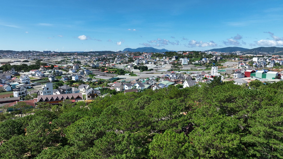 Cầu kính Ngàn Thông là cây cầu kính thứ 4 ở Việt Nam sau Cầu Rồng Mây ở Lai Châu, Cầu Tình Yêu ở Mộc Châu và Cầu Bạch Long ở Sơn La. Công trình cầu kính Ngàn Thông còn thú vị ở chỗ đứng trên cầu sẽ nhìn thấy nhiều điểm du lịch đang thu hút du khách của TP Đà Lạt. Khi đi trên cầu Ngàn Thông, du khách được ngắm toàn cảnh các công trình dân sinh trong TP Đà Lạt, cùng với các kiến trúc đặc sắc ở phía xa xa, như Tháp chuông Cao đẳng Đà Lạt, tượng Phật thiền viện Vạn Hạnh... Cầu kính Ngàn Thông là cây cầu kính thứ 4 ở Việt Nam sau Cầu Rồng Mây ở Lai Châu, Cầu Tình Yêu ở Mộc Châu và Cầu Bạch Long ở Sơn La. Công trình cầu kính Ngàn Thông còn thú vị ở chỗ đứng trên cầu sẽ nhìn thấy nhiều điểm du lịch đang thu hút du khách của TP Đà Lạt. Khi đi trên cầu Ngàn Thông, du khách được ngắm toàn cảnh các công trình dân sinh trong TP Đà Lạt, cùng với các kiến trúc đặc sắc ở phía xa xa, như Tháp chuông Cao đẳng Đà Lạt, tượng Phật thiền viện Vạn Hạnh...