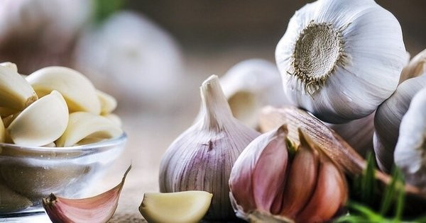 Tỏi là loại gia vị quen thuộc với nhiều gia đình. Ảnh: Shutterstock Tỏi là loại gia vị quen thuộc với nhiều gia đình. Ảnh: Shutterstock