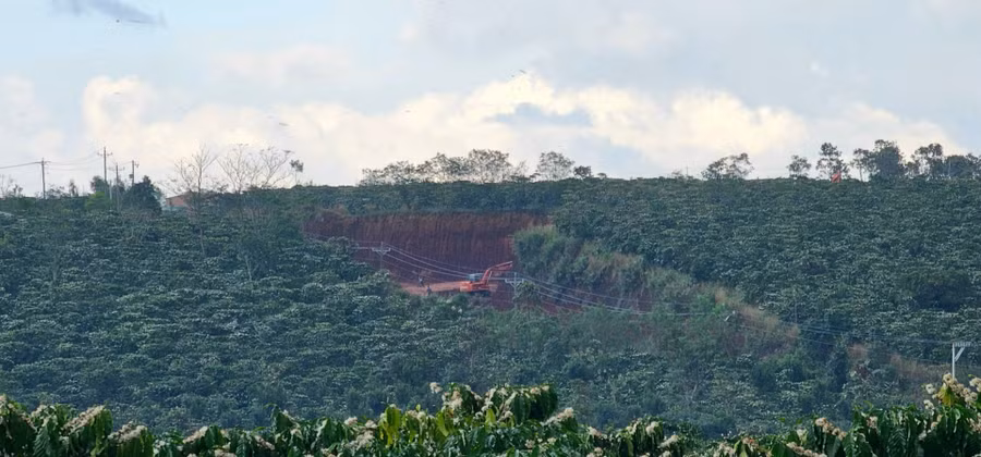 Một phần diện tích khu đất tái định canh Dự án Bô xít - Nhôm đến nay đã bị lấn chiếm hoàn toàn để trồng cây nông nghiệp và cây công nghiệp.