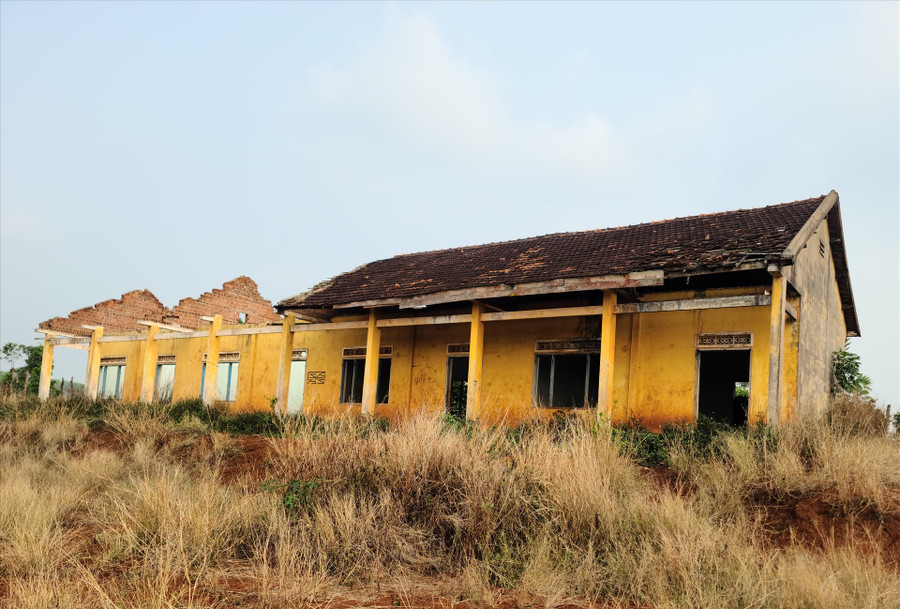 Hiện khu đất đang bỏ hoang, gây lãng phí đất đai và bức xúc trong nhân dân. Ảnh: Bảo Lâm