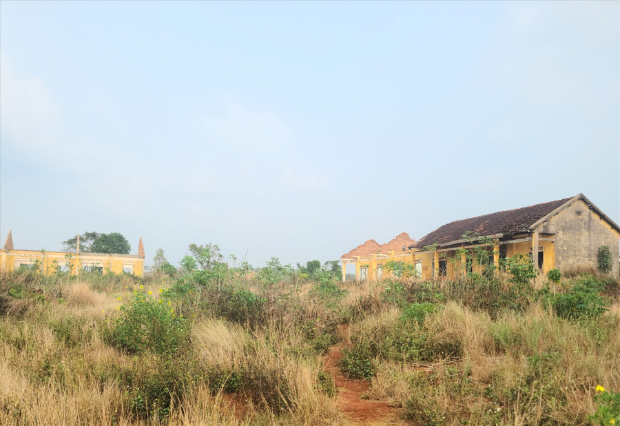 Sau 14 năm được cho thuê đất ở vị trí trắc địa nhưng một doanh nghiệp ở Đắk Lắk đã không triển khai xây dựng dự án. Ảnh: Bảo Lâm