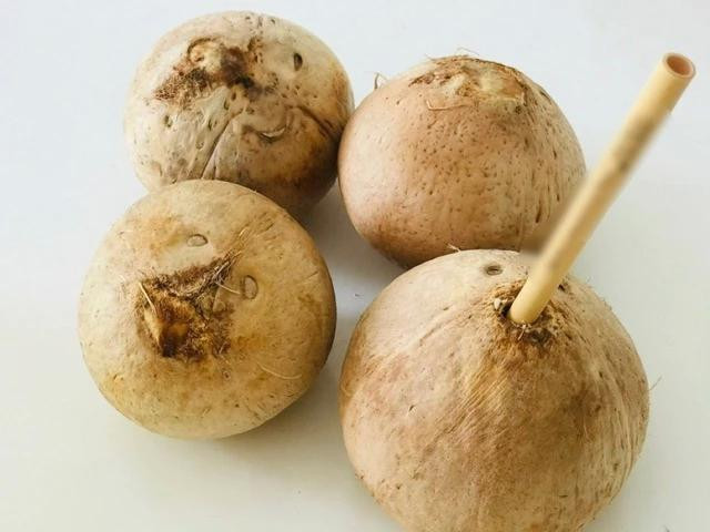 Nước dừa có nhiều lợi ích. Ảnh: LÊ CẦM Nước dừa có nhiều lợi ích. Ảnh: LÊ CẦM