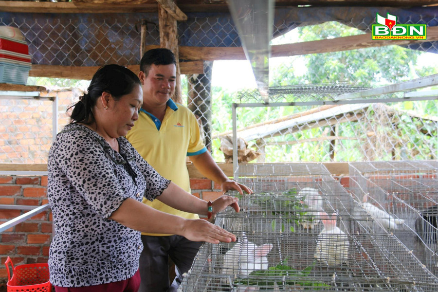 Nhiều hộ dân đã đầu tư hệ thống chuồng trại nuôi thỏ bài bản, sạch sẽ, thoáng mát. Nhiều hộ dân đã đầu tư hệ thống chuồng trại nuôi thỏ bài bản, sạch sẽ, thoáng mát.
