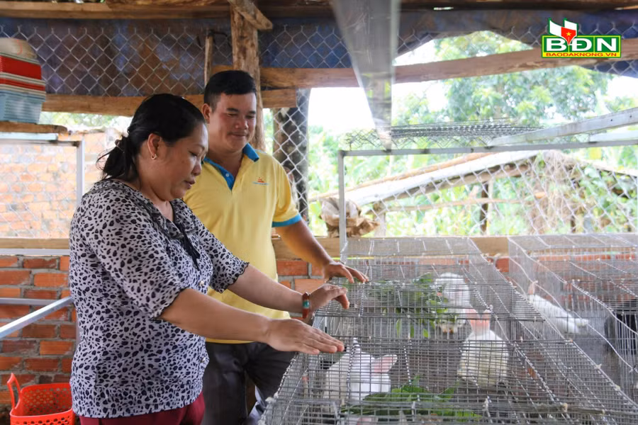 Nhiều hộ dân đã đầu tư hệ thống chuồng trại nuôi thỏ bài bản, sạch sẽ, thoáng mát.