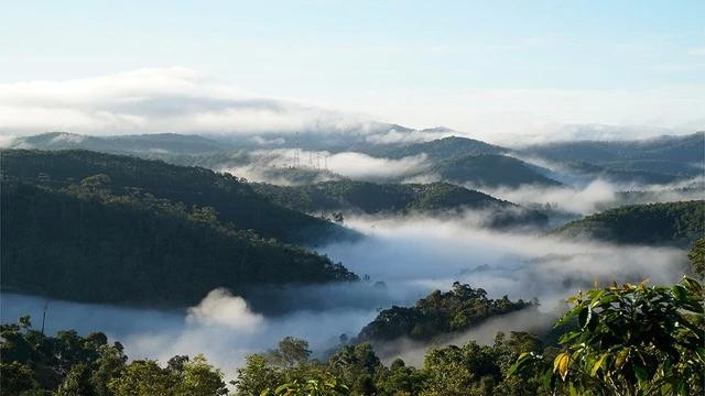 Khắp các ngọn đồi, đỉnh núi tại Kon Plông được bao phủ bởi màn sương trắng mỏng manh. Ảnh: ĐỨC NHẬT Khắp các ngọn đồi, đỉnh núi tại Kon Plông được bao phủ bởi màn sương trắng mỏng manh. Ảnh: ĐỨC NHẬT