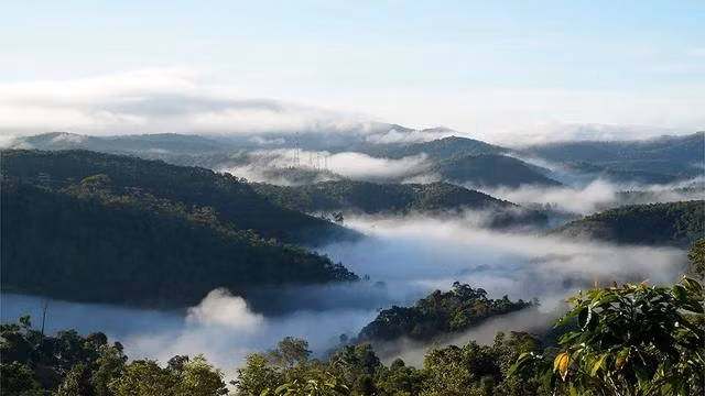 Khắp các ngọn đồi, đỉnh núi tại Kon Plông được bao phủ bởi màn sương trắng mỏng manh. Ảnh: ĐỨC NHẬT