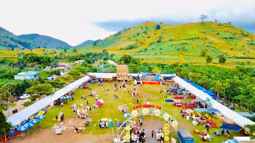 Quang cảnh tại Tuần lễ hoa dã quỳ-núi lửa Chư Đang Ya (huyện Chư Păh). Ảnh: Lê Nam