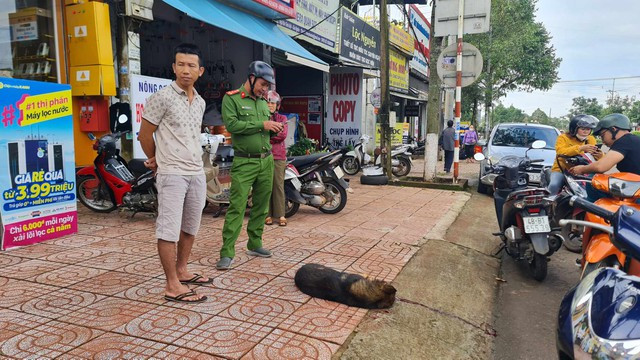 Chó béc-giê cắn 2 em học sinh tiểu học đứng trước cổng trường mắc bệnh dại - Ảnh 2. Ngày 14.9, lực lượng chức năng đã tiêu diệt con chó béc-giê cắn người. Ảnh:CTV