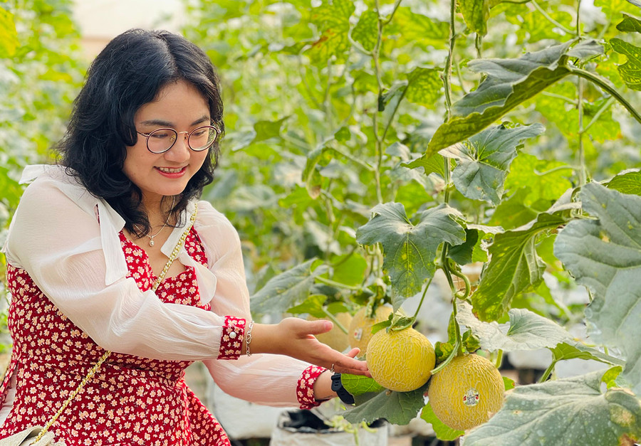 Trong tương lai, Khu thực nghiệm sẽ trở thành điểm tham quan, trải nghiệm thu hút du khách. Ảnh: Mai Ka Trong tương lai, Khu thực nghiệm sẽ trở thành điểm tham quan, trải nghiệm thu hút du khách. Ảnh: Mai Ka