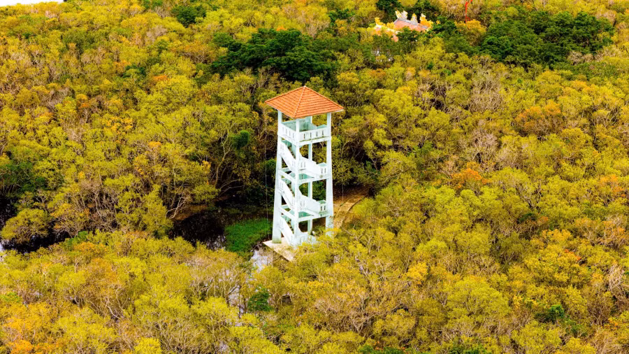 Để ngắm toàn cảnh Rú Chá, du khách thường phải lên đài quan sát.ẢNH: ĐÌNH HOÀNG