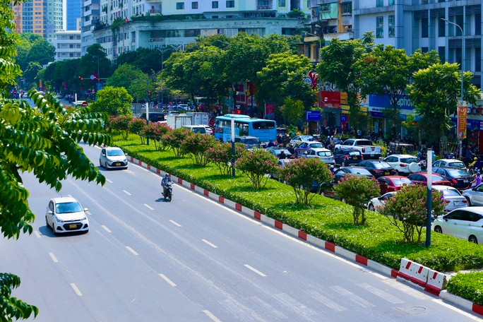 Giới trẻ thích thú khoe sắc bên hoa tường vi nở rộ - Ảnh 2. Giới trẻ thích thú khoe sắc bên hoa tường vi nở rộ ảnh 2