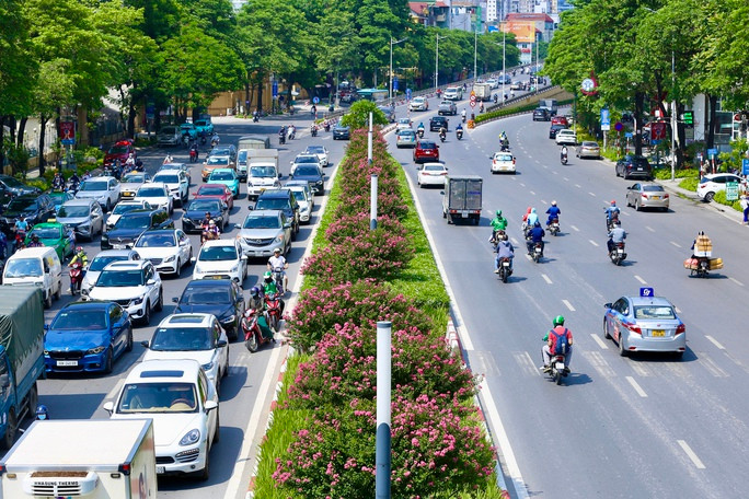 Giới trẻ thích thú khoe sắc bên hoa tường vi nở rộ - Ảnh 5. Giới trẻ thích thú khoe sắc bên hoa tường vi nở rộ ảnh 5