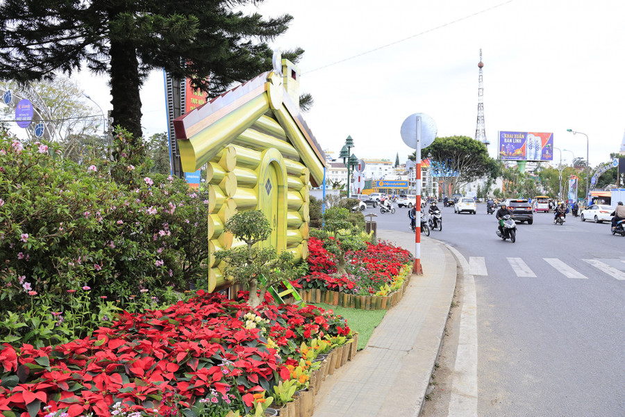 Góc trang trí của Công ty Đà Lạt Hasfarm ở bùng binh Chợ Đà Lạt Góc trang trí của Công ty Đà Lạt Hasfarm ở bùng binh Chợ Đà Lạt