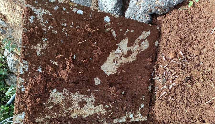 Khoảng 30 kim tiêm được đặt làm bẫy nhằm đối phó với lực lượng giải toả đất rừng. Khoảng 30 kim tiêm được đặt làm bẫy nhằm đối phó với lực lượng giải toả đất rừng.