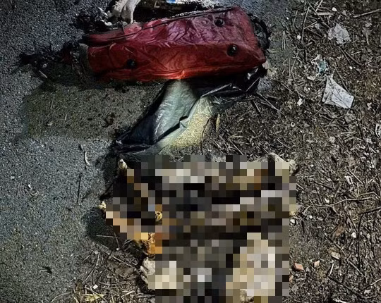 Tứ chi được phát hiện đã bị thiêu cháy