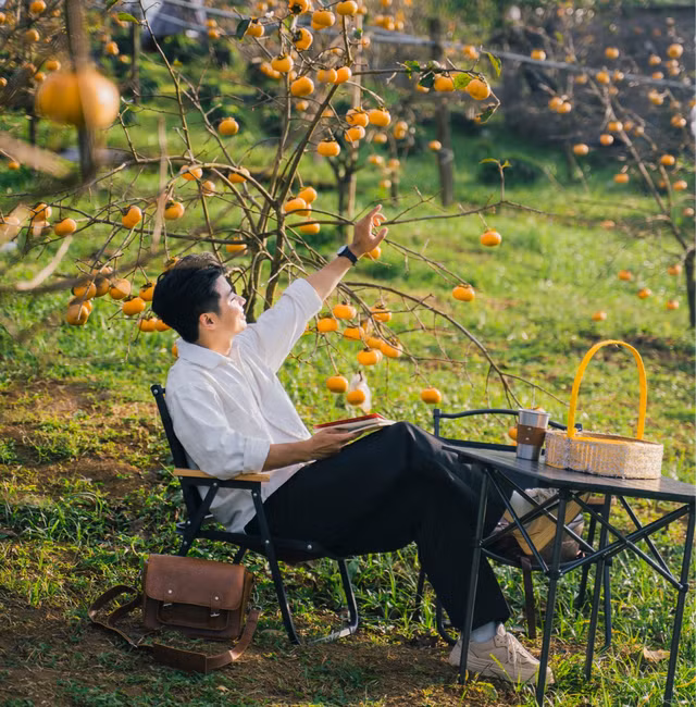 Du khách check-in tại vườn hồng Mộc Châu. Ảnh: QUANG KIÊN