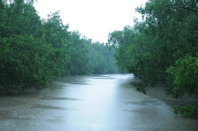 Đi vòng quanh đảo khỉ, khám phá cửa Ba Thắc. Ảnh: Cảnh Kỳ