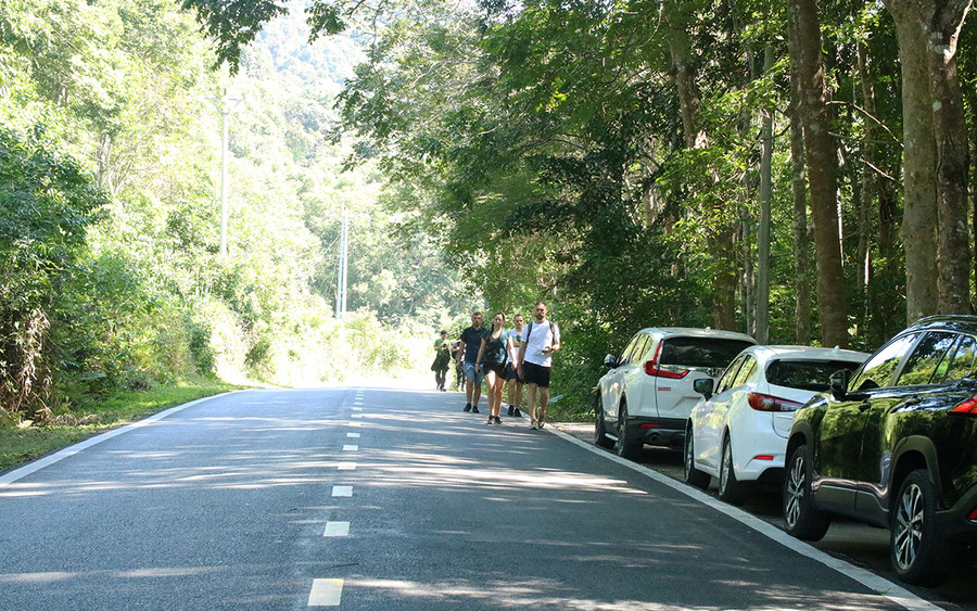 Du khách nước ngoài bộ hành trên cung đường xuyên Vườn quốc gia Cát Bà. Ảnh: GIANG LINH