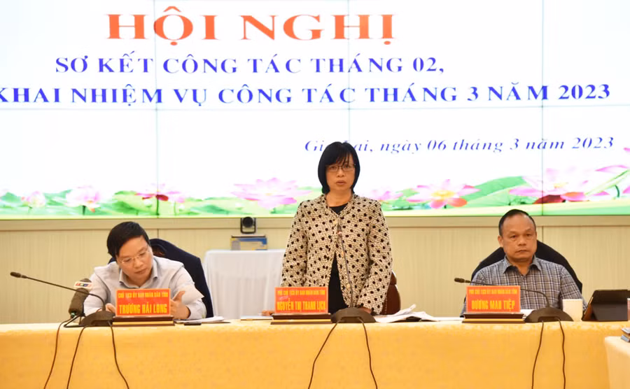 Phó Chủ tịch UBND tỉnh Nguyễn Thị Thanh Lịch phát biểu tại hội nghị. Ảnh: Đức Thụy