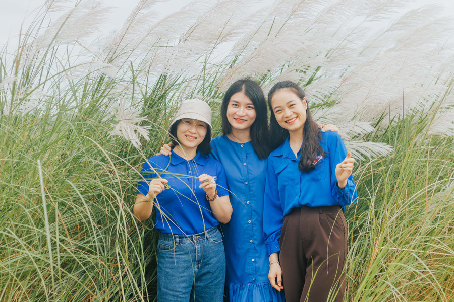 Rất đông bạn trẻ tìm về cánh đồng để check-in. Ảnh: BÁ CƯỜNG