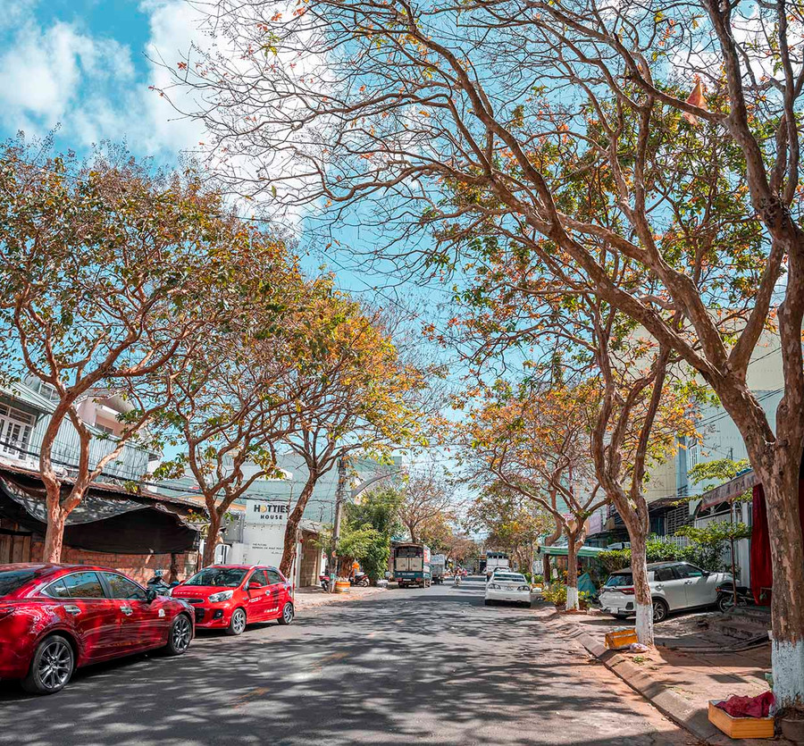 Ảnh minh họa: Phạm quý Ảnh minh họa: Phạm quý