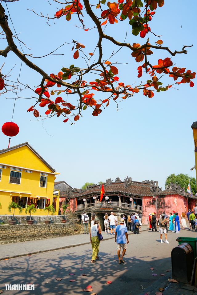 Hội An là điểm đến phổ biến đối với du khách quốc tế khi đến Việt Nam. Ảnh: ĐỖ ANH VŨ