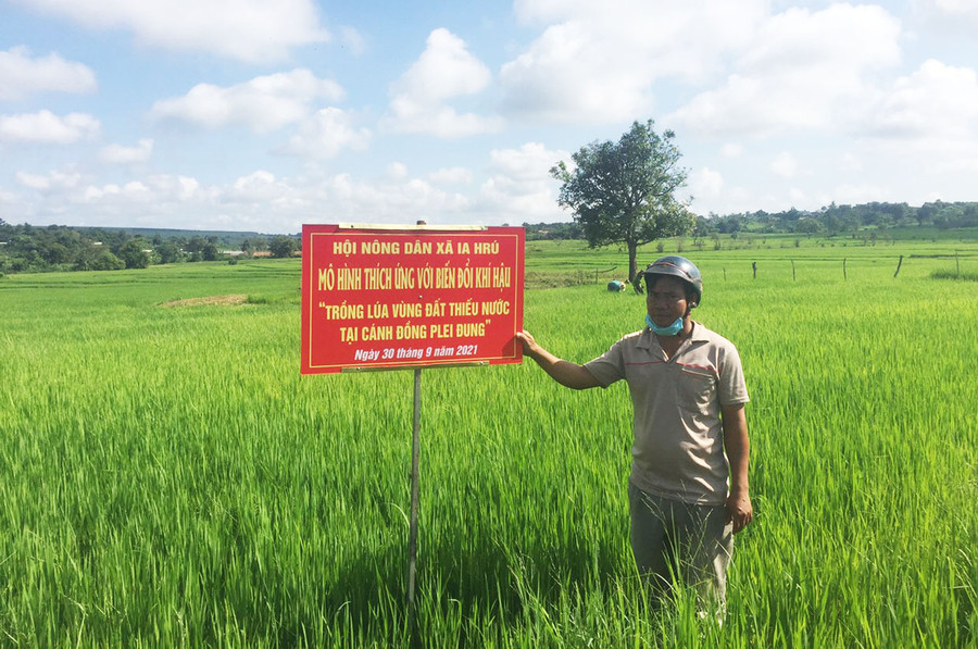 Hội Nông dân xã Ia Hrú xây dựng mô hình trồng lúa vùng thiếu nước tại làng Đung. Ảnh: Thanh Nhật Hội Nông dân xã Ia Hrú xây dựng mô hình trồng lúa vùng thiếu nước tại làng Đung. Ảnh: Thanh Nhật