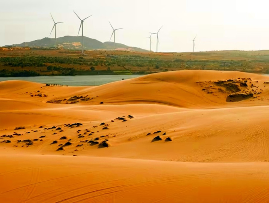 Đồi cát. Ảnh Toh Ee Ming.