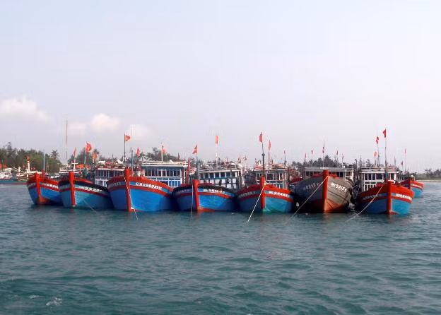 Kiểm soát chặt chẽ hoạt động của tàu cá địa phương và tàu cá của tỉnh khác hoạt động tại địa phương. Ảnh: VGP/Lưu Hương