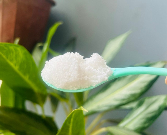 Những bài thuốc từ muối trong y học cổ truyền giúp giảm mỡ, răng tóc chắc khỏe - Ảnh 1. Muối có nhiều công dụng tốt cho sức khỏe. Ảnh: LÊ CẦM