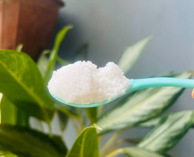 Muối có nhiều công dụng tốt cho sức khỏe. Ảnh: LÊ CẦM