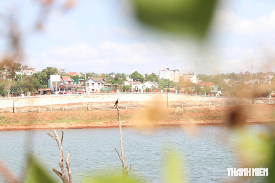 Khu vực quanh đảo nổi còn khá hoang sơ. Tại đây có thể dễ dàng bắt gặp cảnh chim trời, cá nước đang đi săn mồi. Ảnh: Xuân Lâm Khu vực quanh đảo nổi còn khá hoang sơ. Tại đây có thể dễ dàng bắt gặp cảnh chim trời, cá nước đang đi săn mồi. Ảnh: Xuân Lâm