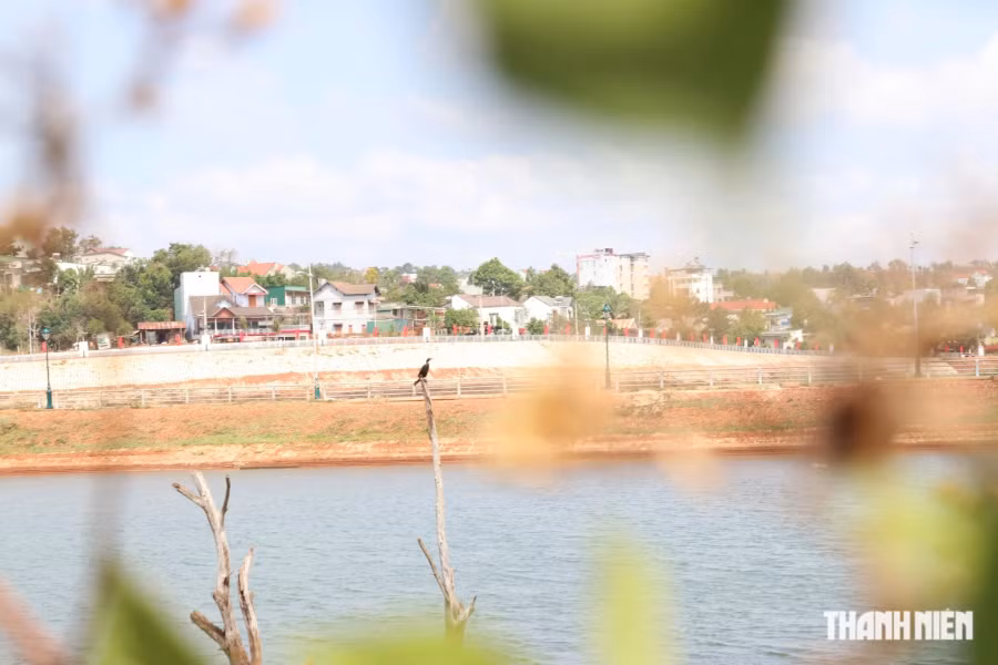 Khu vực quanh đảo nổi còn khá hoang sơ. Tại đây có thể dễ dàng bắt gặp cảnh chim trời, cá nước đang đi săn mồi. Ảnh: Xuân Lâm