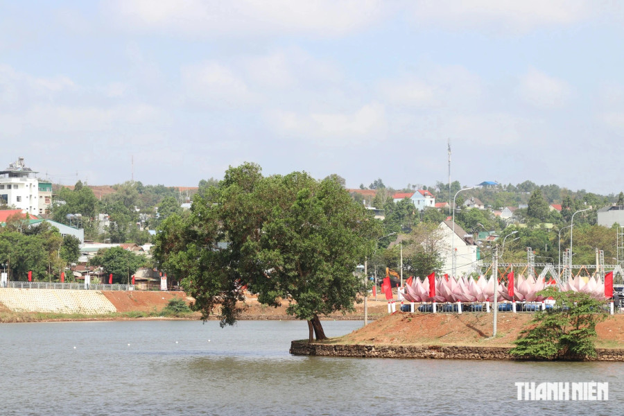 Cây xanh "cô đơn" bên bờ đảo nổi. Ảnh: Xuân Lâm Cây xanh "cô đơn" bên bờ đảo nổi. Ảnh: Xuân Lâm