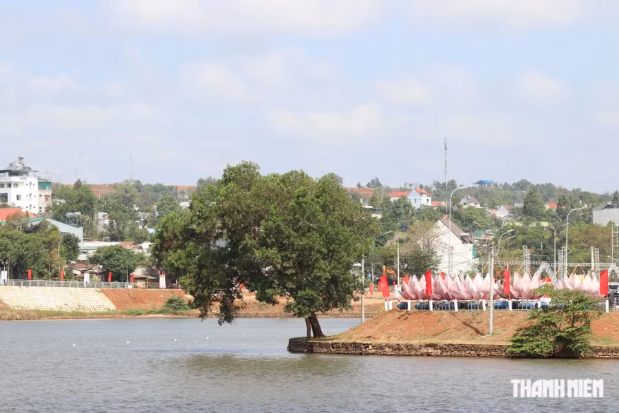 Cây xanh "cô đơn" bên bờ đảo nổi. Ảnh: Xuân Lâm