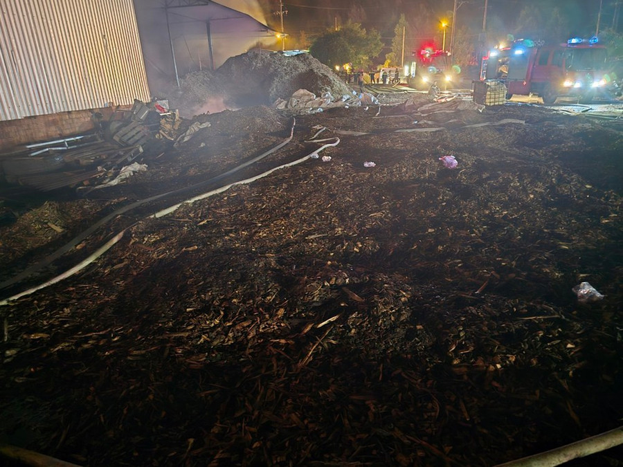 Vật liệu gỗ chứa trong khu xưởng