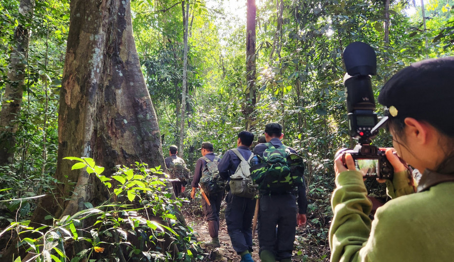Trong quá trình đi bộ băng rừng, chúng ta sẽ được chiêm ngưỡng những cây rừng cổ thụ hàng trăm năm tuổi tại VQG Cát Tiên