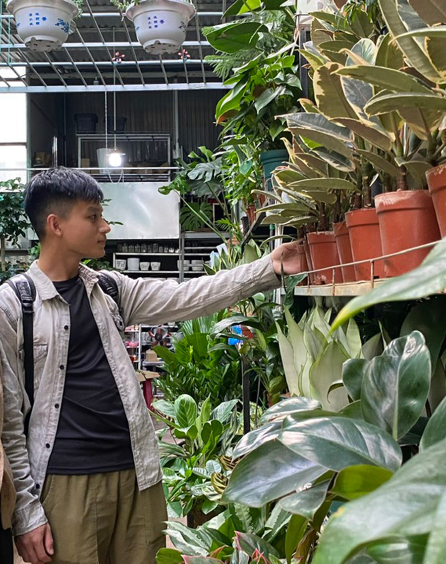 Các dòng cây kiểng lá đẹp, lạ, có ý nghĩa phong thủy đang dẫn đầu về doanh số tiêu thụ trên thị trường hiện nay. Ảnh: S.C