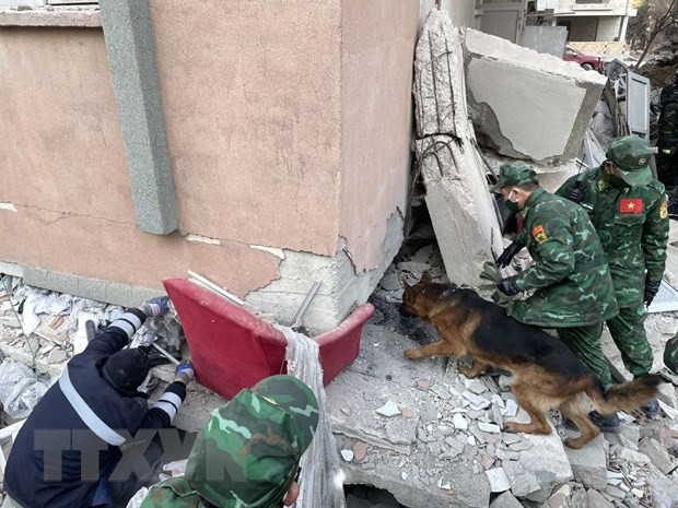 Lực lượng cứu hộ Quân đội sử dụng máy dò và chó nghiệp vụ để tìm kiếm, cứu trợ các nạn nhân. (Ảnh: Văn Hiếu/TTXVN phát)
