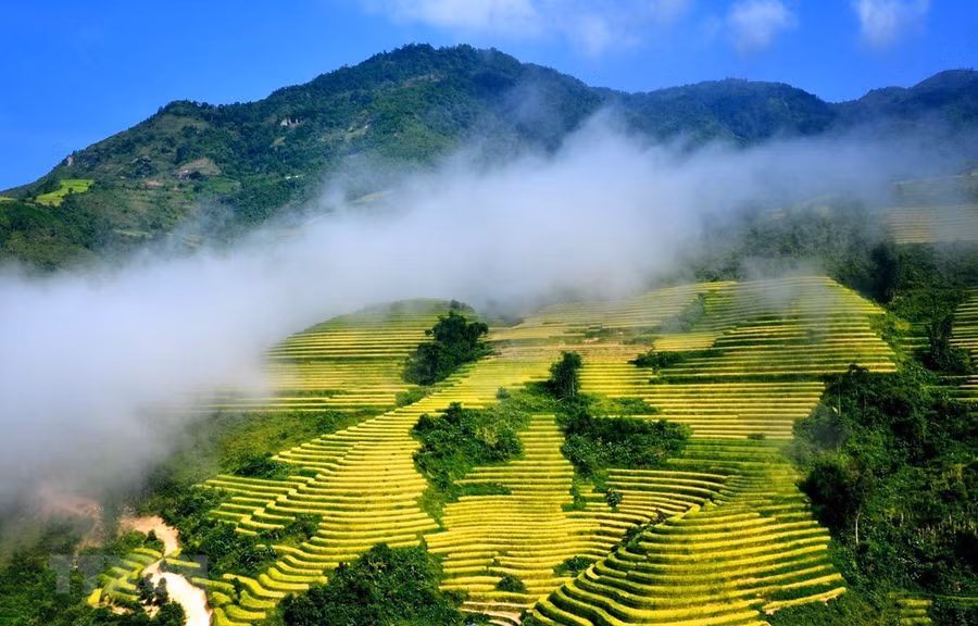 Ruộng bậc thang Sa Pa mùa nước đổ. (Ảnh: Quốc Khánh/TTXVN)